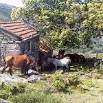 Miradouro Da Branda