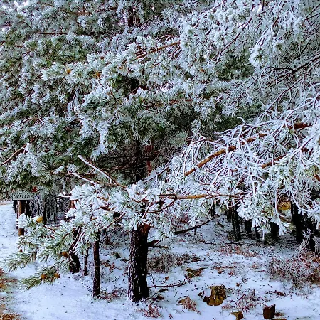 Villa Miradouro Da Branda Branda de Santo António