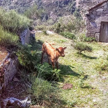 Villa Miradouro Da Branda Branda de Santo António