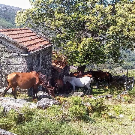 Miradouro Da Branda