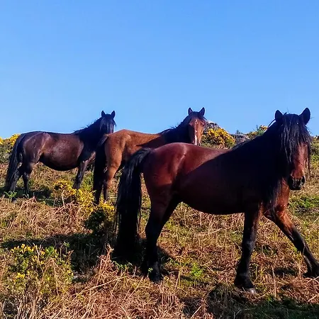 Miradouro Da Branda Villa