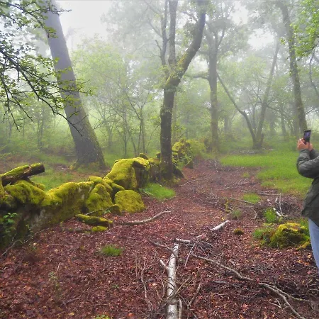 Miradouro Da Branda Villa