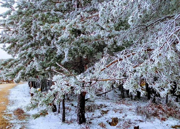 ヴィラ Miradouro Da Branda Branda de Santo António