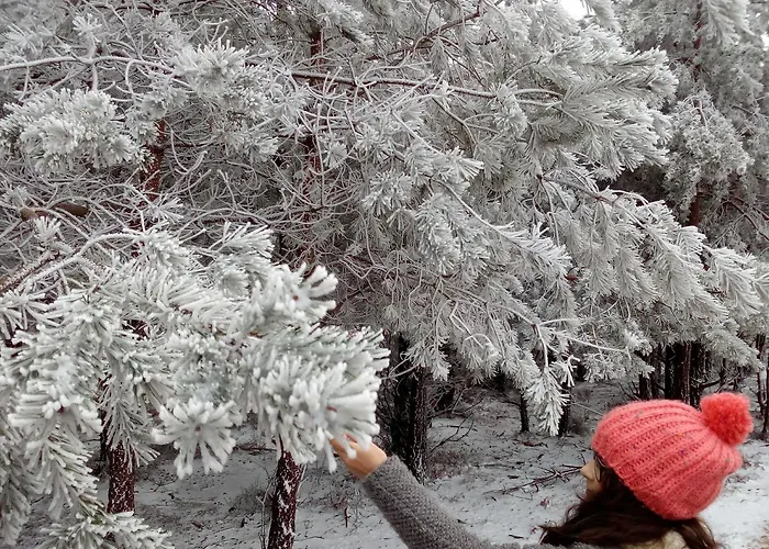 Miradouro Da Branda Вилла