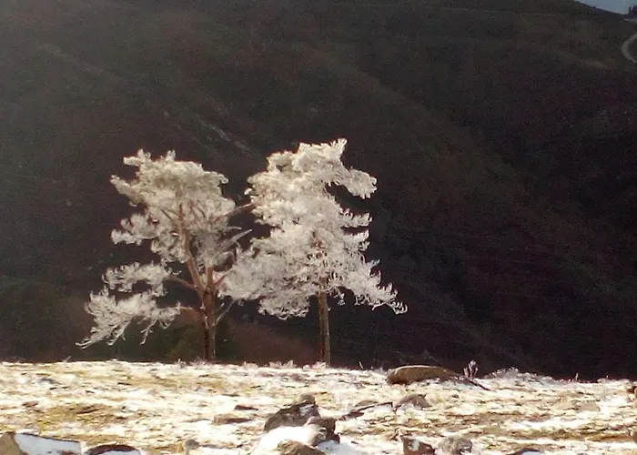 Miradouro Da Branda Villa