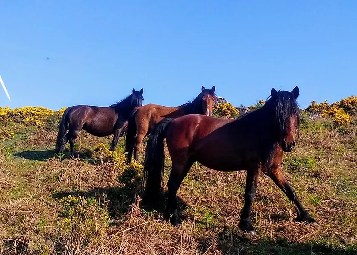Miradouro Da Branda Вилла